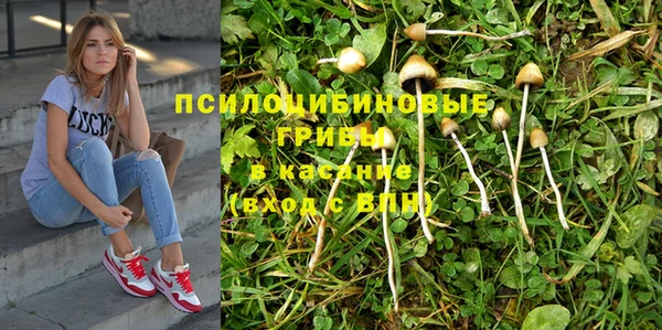 меф Щигры