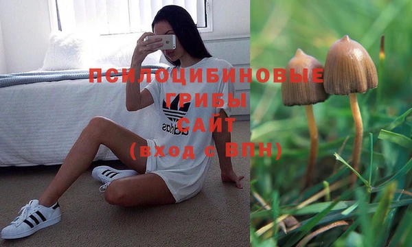 гашишное масло Шали