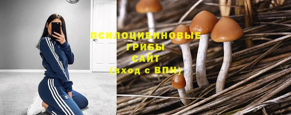 гашиш Дмитровск