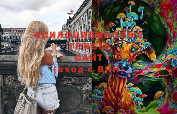 таблы Шадринск