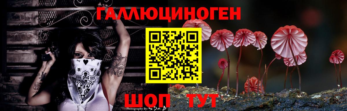 Галлюциногенные грибы мухоморы  Вход с VPN  купить наркоту  Белореченск  Галлюциногенные грибы мицелий 