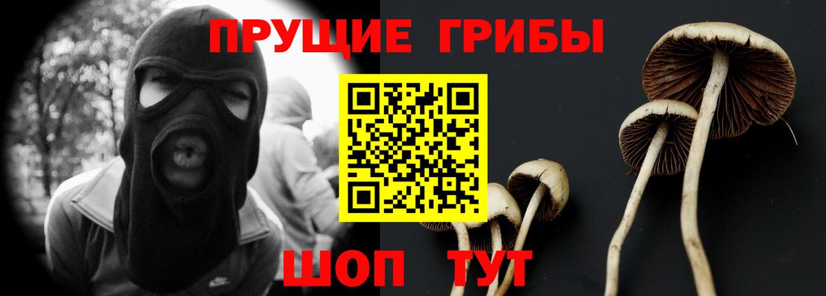 Псилоцибиновые грибы мицелий Белореченск